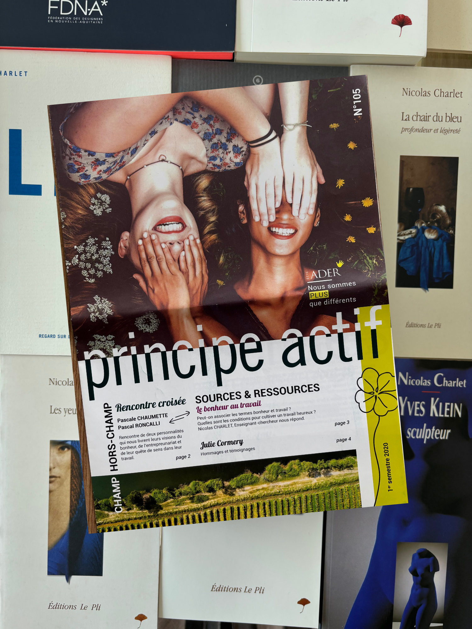 Articles Nicolas Charlet
